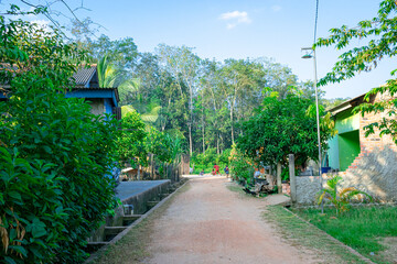 Shady path in the village