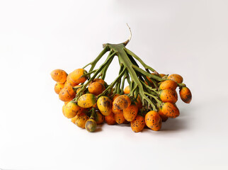 Orange betel nuts or areca catechu nut fruit bunches in its palm tree adaka, arecanut