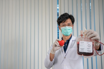 Doctor holding or showing bag blood donate and red ball heart shape. Volunteer at the blood donation center.