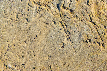 Texture of sandstone stone with scratches and cracks, close-up, top view.