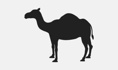 Vector Camel silhouette. Camel silhouette icon isolated on white background.