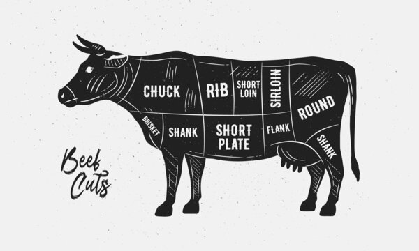 recommend clip art: Cuts of Beef. Butcher Diagram, scheme, chart. Cow sketch silhouette isolated on white background. Vintage Poster for butcher shop, barbecue. Vector illustration