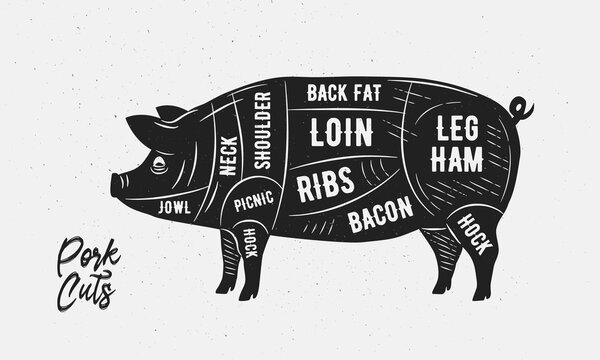 recommend clip art: Cuts of Pork. Butcher Diagram, scheme, chart. Pig sketch silhouette isolated on white background. Vintage Poster for butcher shop, barbecue, restaurant. Vector illustration