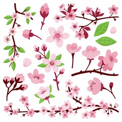 Blossom sakura flowers. Japanese sakura flower, flat cherry floral branches. Isolated asian garden elements. Spring apricot tree leaves neoteric vector set
