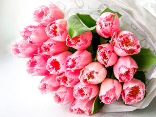 Bunch of light gentle pink Fringed Mascotte tulip, bouquet of flowers for mothers day card, Easter...