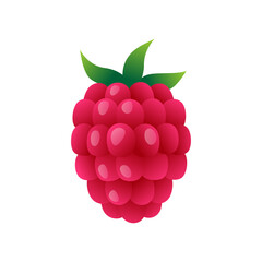 Vector cartoon raspberry isolated on white background. Summer berries for healthy lifestyle. Organic food