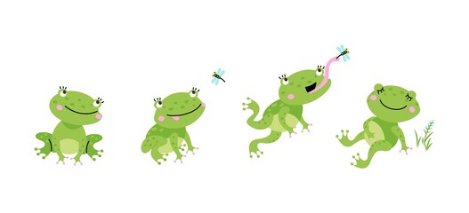 Funny frog jumping for flying insect. Cartoon pond frogs jump and eating. Green toad eat dragonfly and relax. Fairytale nowaday vector character in motion