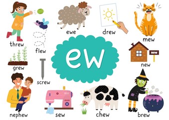 -Ew- digraph spelling rule educational poster for kids with words. Learning -ew- phonics sound for school and preschool. Phonetic worksheet. Vector illustration