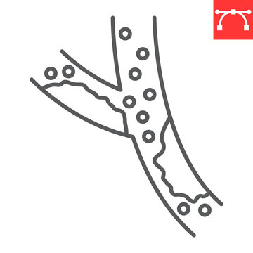 Blood Vessel Line Icon, Cholesterol And Vein, Blood Vessel Vector Icon, Vector Graphics, Editable Stroke Outline Sign, Eps 10.