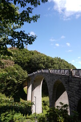 Fototapeta premium 緑地