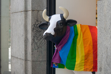 Cow with pride flag