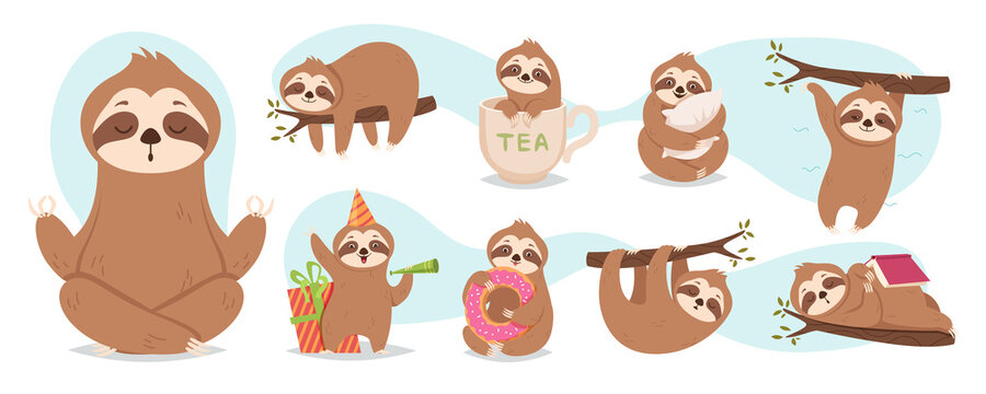 Asleep sloths. Cute baby wild sloths animals hanging branches in relaxing poses exact vector illustrations set