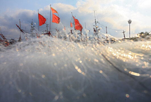 The fishing nets