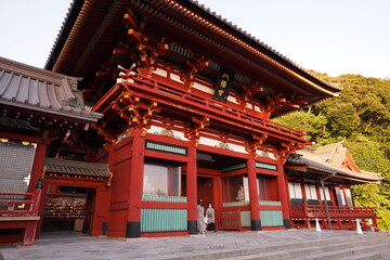 Fototapeta premium 和