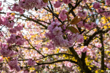 Wolverhampton east park