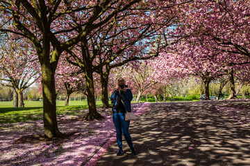 Wolverhampton east park