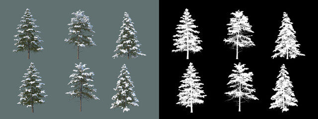 Fototapeta na wymiar various winter trees 