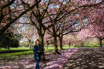 Obraz premium Wolverhampton east park