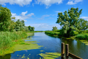 Mecklenburgische Fluss-Landschaft bei Nehringen, Mecklenburg-Vorpommern, Deutschland