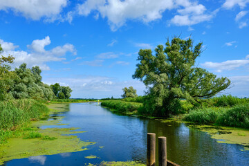 Mecklenburgische Fluss-Landschaft bei Nehringen, Mecklenburg-Vorpommern, Deutschland