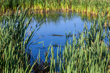 water in the lake in calm, windy weather