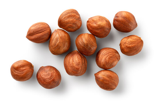 Hazelnut Isolated. Hazelnuts On White Background. Hazelnut Background Top View. Full Depth Of Field.