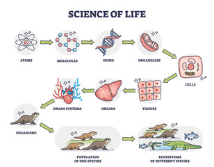 Science of life as nature physiology categories development outline diagram. Labeled educational scheme with living organisms division from atoms, molecules and genes to ecosystems vector illustration