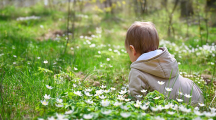 A small child sits among the flowers on the edge of the forest