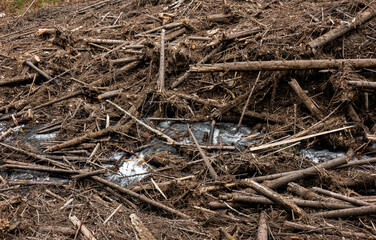 The remains of a destroyed forest because of the avalanches, floods and deforestation. A lot of branches and trees block a river in the mountains. Danger for the environment, global warming.