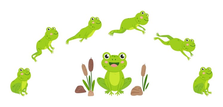 Frog jump. Animation of jumping animal, green cartoon frogs desogn. Aquatic toad in swamp with reeds. Wild neoteric vector slimy creature movement