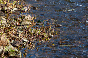 water in the lake in calm, windy weather