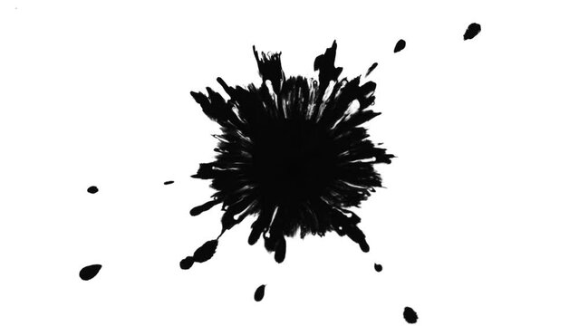 Super Slow Motion Shot of Black Ink Drop Isolated on White Background at 1000 fps.