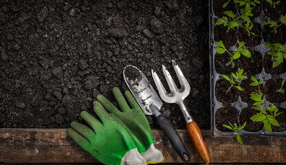 Tools for gardening. Top view on the ground. - obrazy, fototapety, plakaty