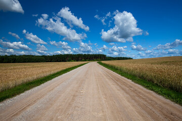 Fototapeta na wymiar a country road without asphalt