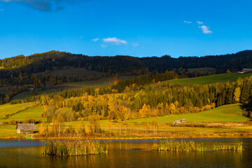 autumn pond under the mountains, Murau district,.Styria, Austria