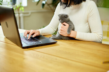 Unrecognizable hand Woman searching vet website on laptop to register cat kitten for veterinary consultation, Freelancer female working from home.