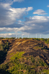 Fototapeta na wymiar wind power plant illuminated by morning sun near Reggio di Calabria, Italy