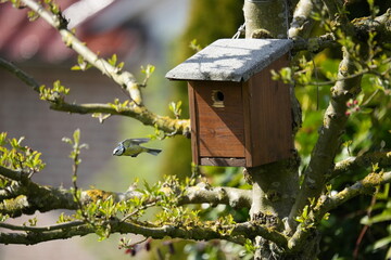 Fototapete bei efototapeten.de bestellen   