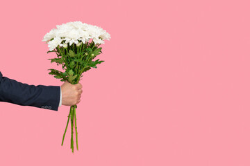 Fototapeta premium bouquet of white chrysanthemums in a man's hand on a pink background