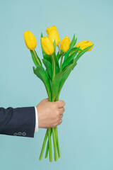 Bouquet of yellow flowers tulips in a man's hand on a blue background