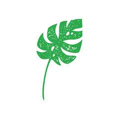 Natural tropical fern greenery leaf ornamental edges stem exotic resort rainforest grunge texture © provectors