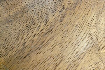 part of the board with structure and irregularities