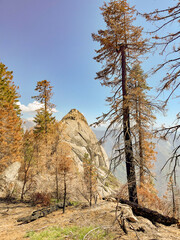 Mora Rock, Sequoia National Park, California USA