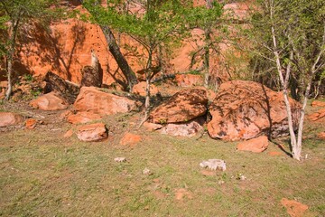 Rock formations and Trees in Red Rock Canyon State Park (SP) in the State of Oklahoma, USA