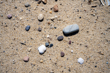 Fototapeta na wymiar Cape Cod in springtime close up view of pebbles on the beach at Head of the Meadow