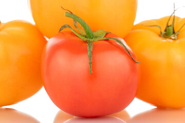 Four organic tomatoes, one red and three yellow, close-up, isolated on a white background.