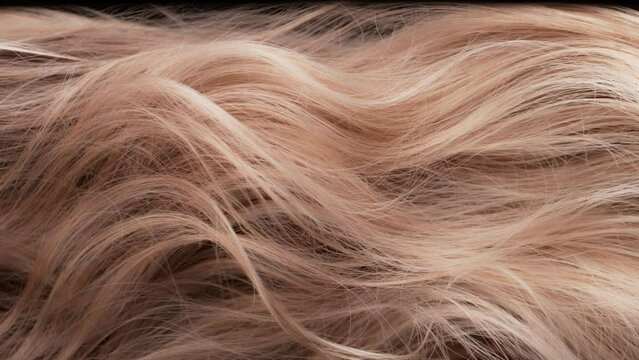 Super Slow Motion Shot of Waving Light Brown Highlighted Hair at 1000 fps.