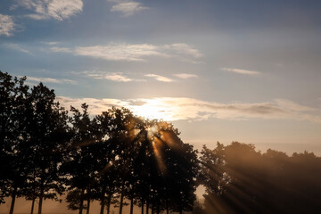 Obraz premium nature in the autumn season on a foggy morning