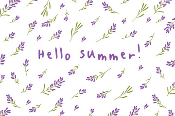 Hello summer. Floral background with lavender flowers. Hand drawn elements for your design. Vector