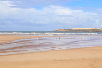 Beach on the Atlantic Ocean in Essaouira, Morocco